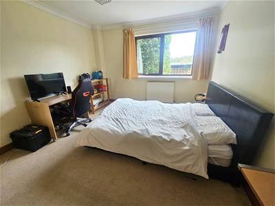 Picture 30